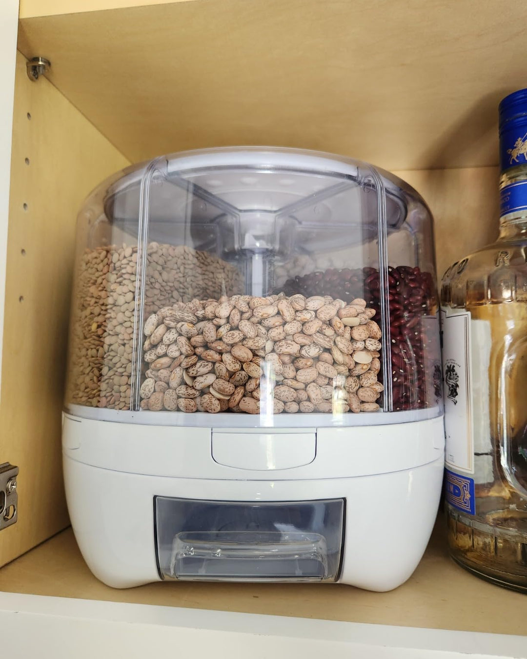 Foto de Paulina Valenzuela